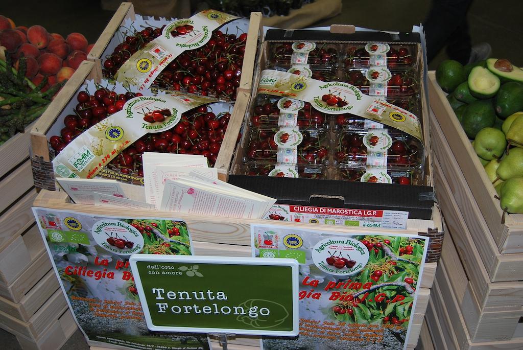 Tenuta Fortelongo Fara Vicentino 외부 사진